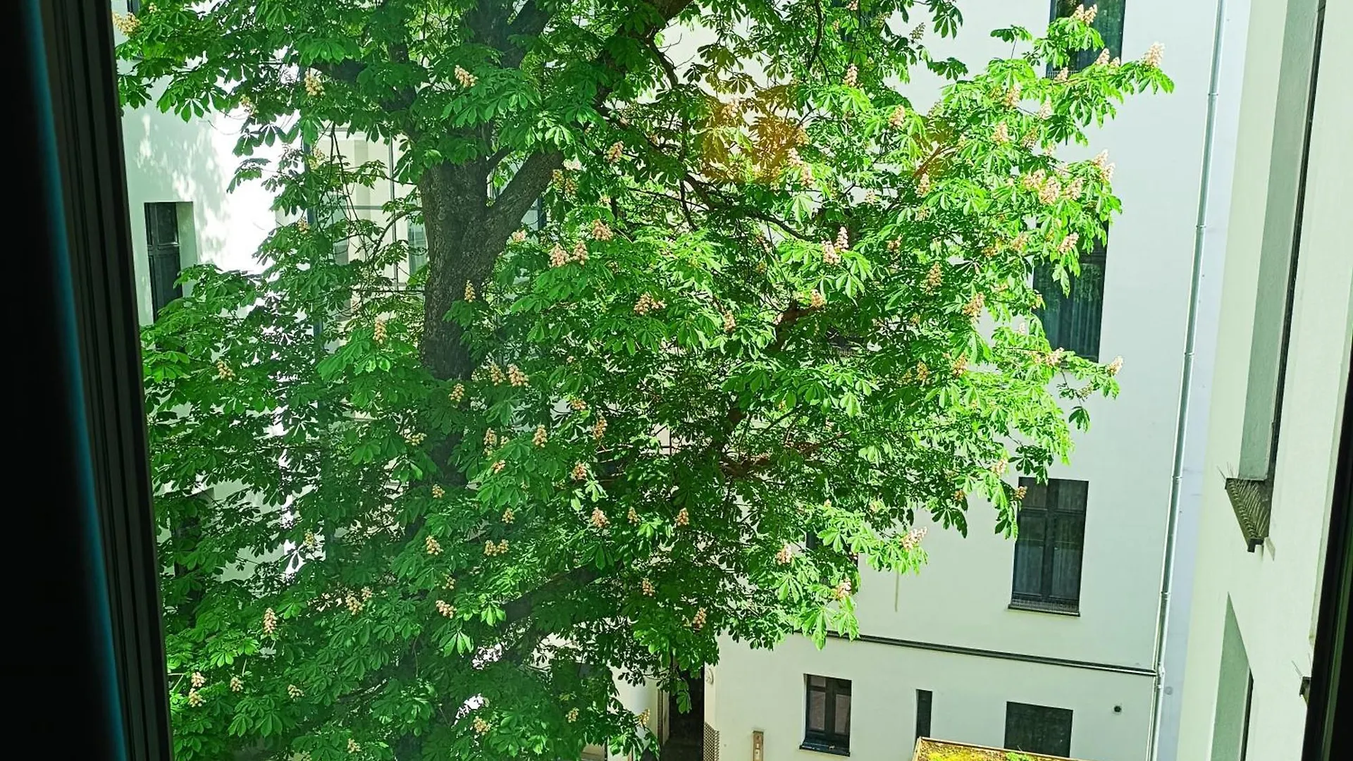 Mercure Hotel Berlin Wittenbergplatz